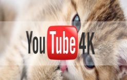 4k 247x157 - YouTube Libera 4K No Streaming Ao Vivo