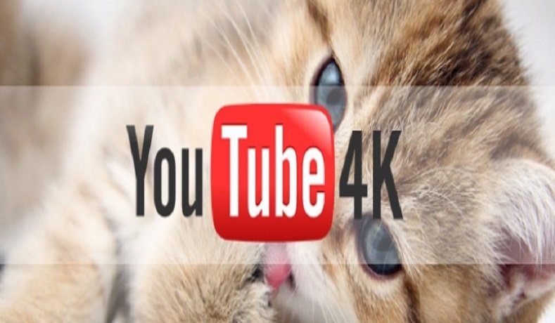 YouTube Libera 4K No Streaming Ao Vivo