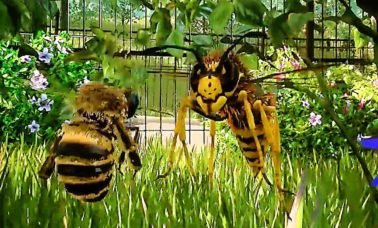 Capa Bee Simulator 378x228 - Bee Simulator - Voando no mundo das abelhas