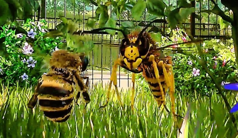 Bee Simulator – Voando no mundo das abelhas
