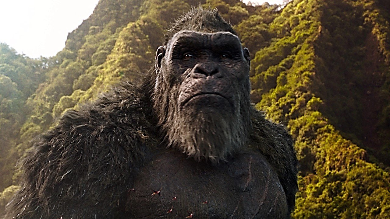 Godzila vs Kong imagem 2 - Godzilla vs Kong, Dois Titãs Lendários Que Retornam Em Um Espetáculo Maluco