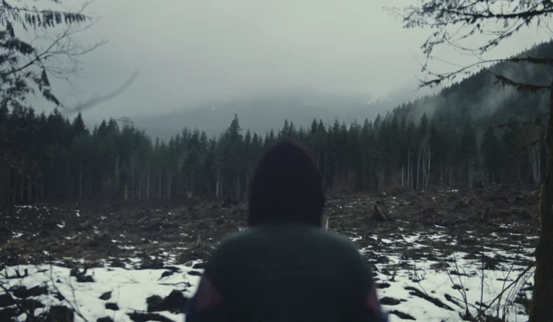 To Kill a Wolf, A Metáfora do Lobo Mau