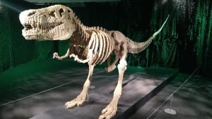 img_20161020_151758732